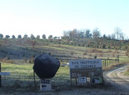 FermeTruffe_Site_3