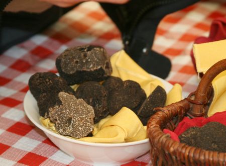 FermeTruffe_Truffe_5