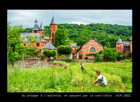 Le Potager est au pied du restaurant, un circuit on ne peut plus court ! - 1_5