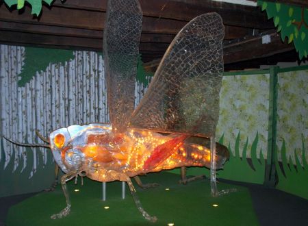 Cité des Insectes : Musée & Parc nature_2