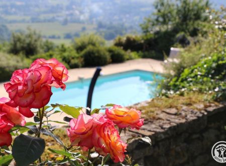 Lescure-Haute_2