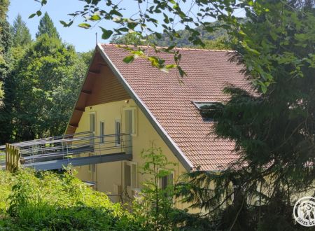 Au fil de La Bontat ~ Vézère_3