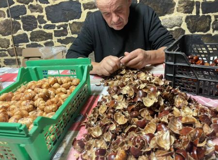Ferme-de-Brossard_Lanteuil_chataignes_2