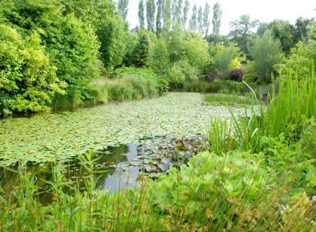 plan d'eau_1