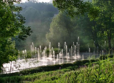 Art sensible Forêt de jets