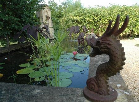 BASSINS DRAGONS