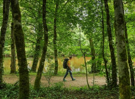 Bords-de-Vezere-St-Viance