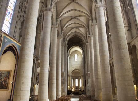 Collégiale Saint Martin_5