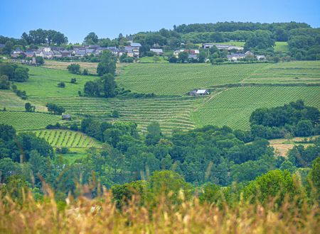 Corrèze Tourisme_GR46_Vignobles des coteaux de la Vézère_© David Genestal_juin 2024
