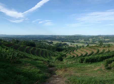 Vignoble des Coteaux de la Vézère 