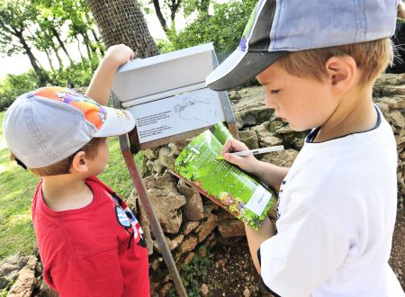 LOI3155CDT460001 Singes_ORY4474_4