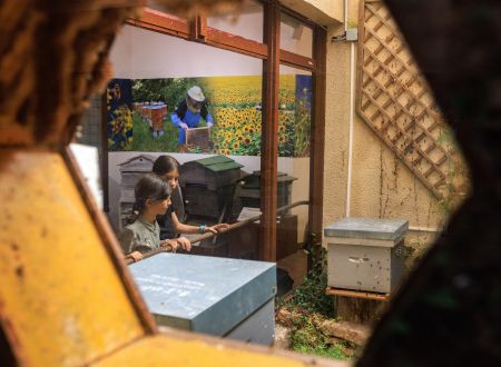 La-Maison-des-Abeilles-2-Nicolas-Barbarin-Atelier-Castanea_4