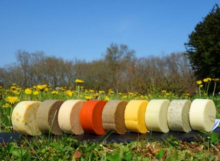 Le pré en bulles