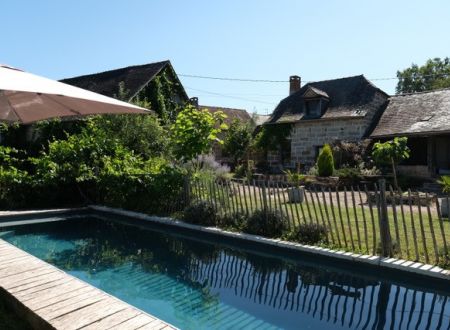 Les hirondelles3