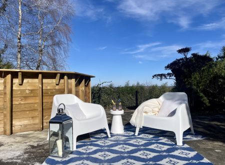 Piscine + terrasse