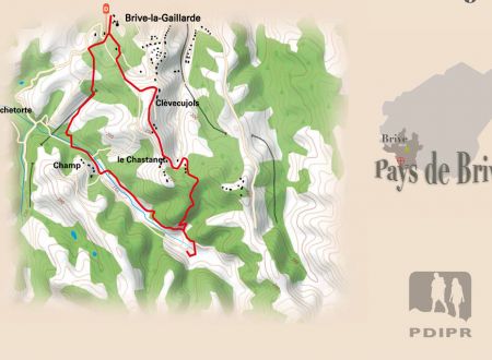 Planchetorte-Chevrecujols_1