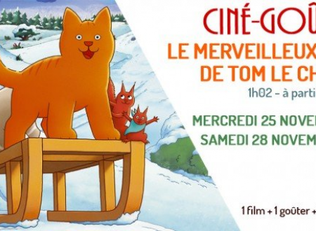 le merveilleux monde de tom le chat