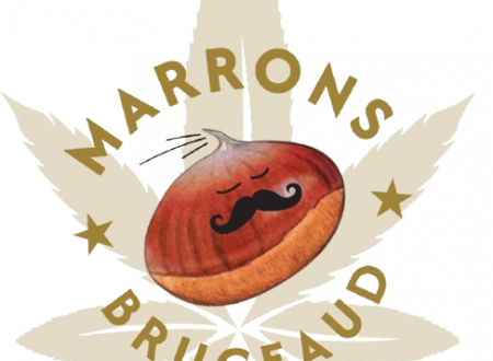 logo_marrons_Brugeaud-removebg-preview