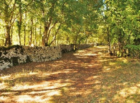 Balade secrète en Corrèze - Chatrier Ferrière