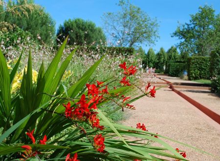Les Jardins de Colette et son labyrinthe_5