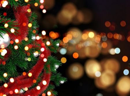 sapin-noel