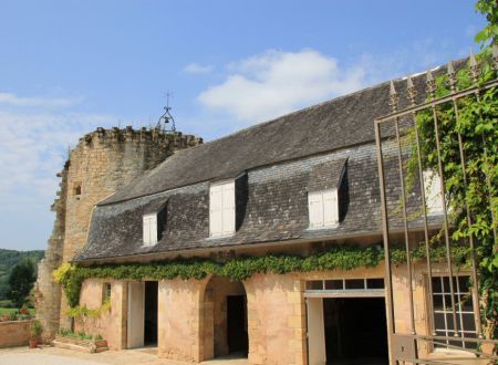 Hôtel noble de la Chabroulie_3