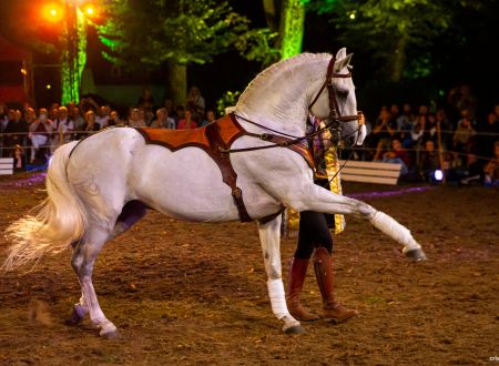 Spectacle équestre_1