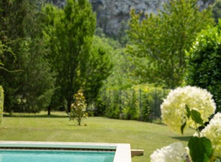 La Maison des Templiers - Le Moulin_3