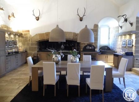 Château de Lissac_4