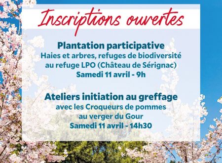 660490182_1255127923400363_8853255870068434845_n