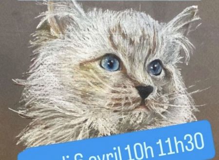 Atelier dessin Ptits chats gaillards