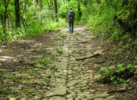 Corrèze Tourisme_GR46_Ancienne calade sous Turenne_© David Genestal_juin 2024