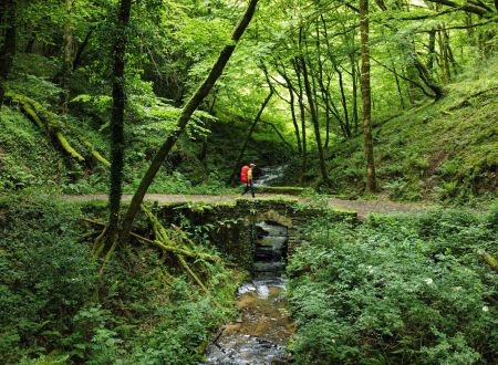 Corrèze Tourisme_GR46_Pont de Pouch_© David Genestal_juin 2024