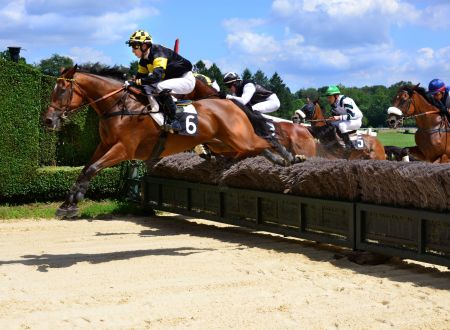 Courses hippiques - Pompadour © Bernard Treuil 2