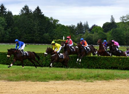 Courses hippiques - Pompadour © Bernard Treuil
