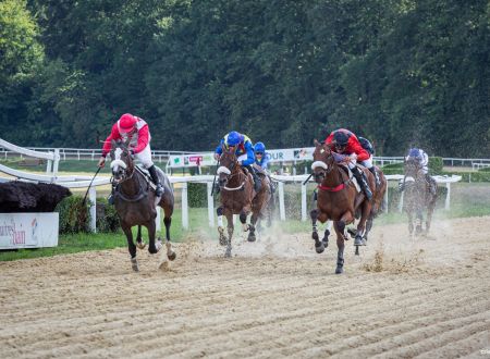 Courses hippiques - Pompadour ©Cris Bastiane - Web (14)