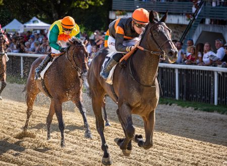 Courses hippiques - Pompadour ©Cris Bastiane - Web (18)