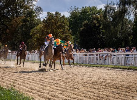 Courses hippiques - Pompadour ©Cris Bastiane - Web (19)