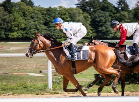 Courses hippiques - Pompadour ©Cris Bastiane - Web (6)