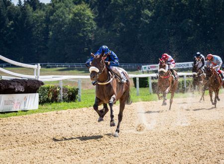 Courses hippiques - Pompadour ©Cris Bastiane - Web (7)