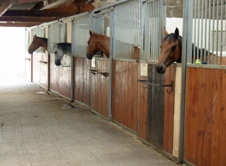 L'éperon des Crêtes_5