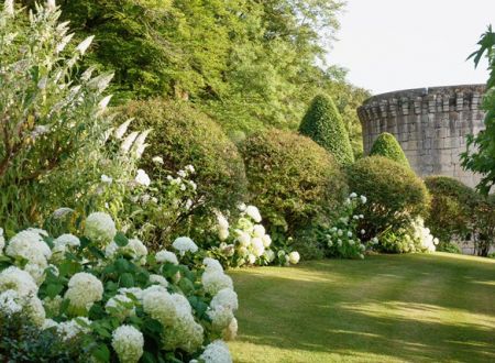Manoir de Peyraux (1)