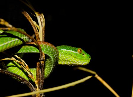 Reptiland_IMG_4995_1