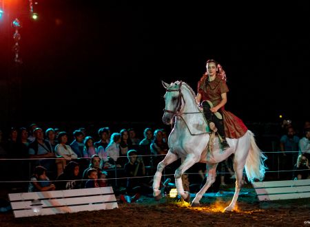 Spectacle équestre Hasta Luego terrasses - Pompadour ©Cris Bastiane - web (35)