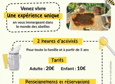 découverte de l'apiculture