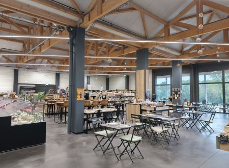 halles vezere