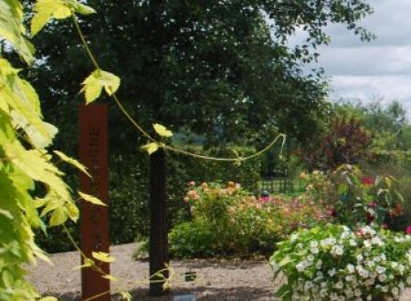 jardin-bourgogne-aux-jardins-de-colette