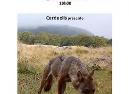 la part du loup