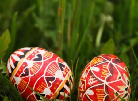 publicdomainpictures-bright©Pixabay