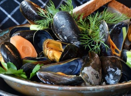 shellfish-g8a313cc93_1280